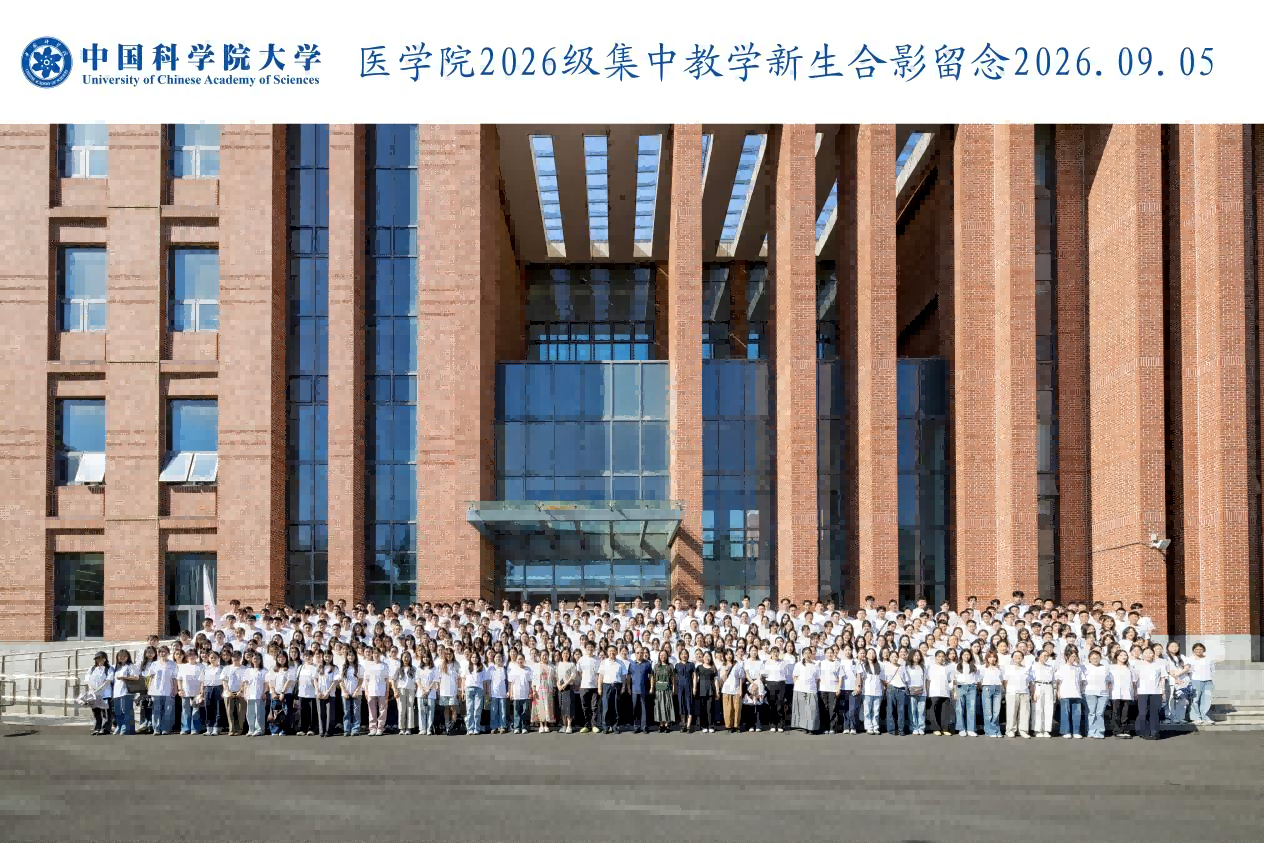 图片81
