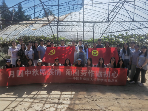 图片 5