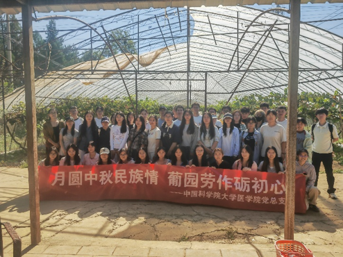 图片 6